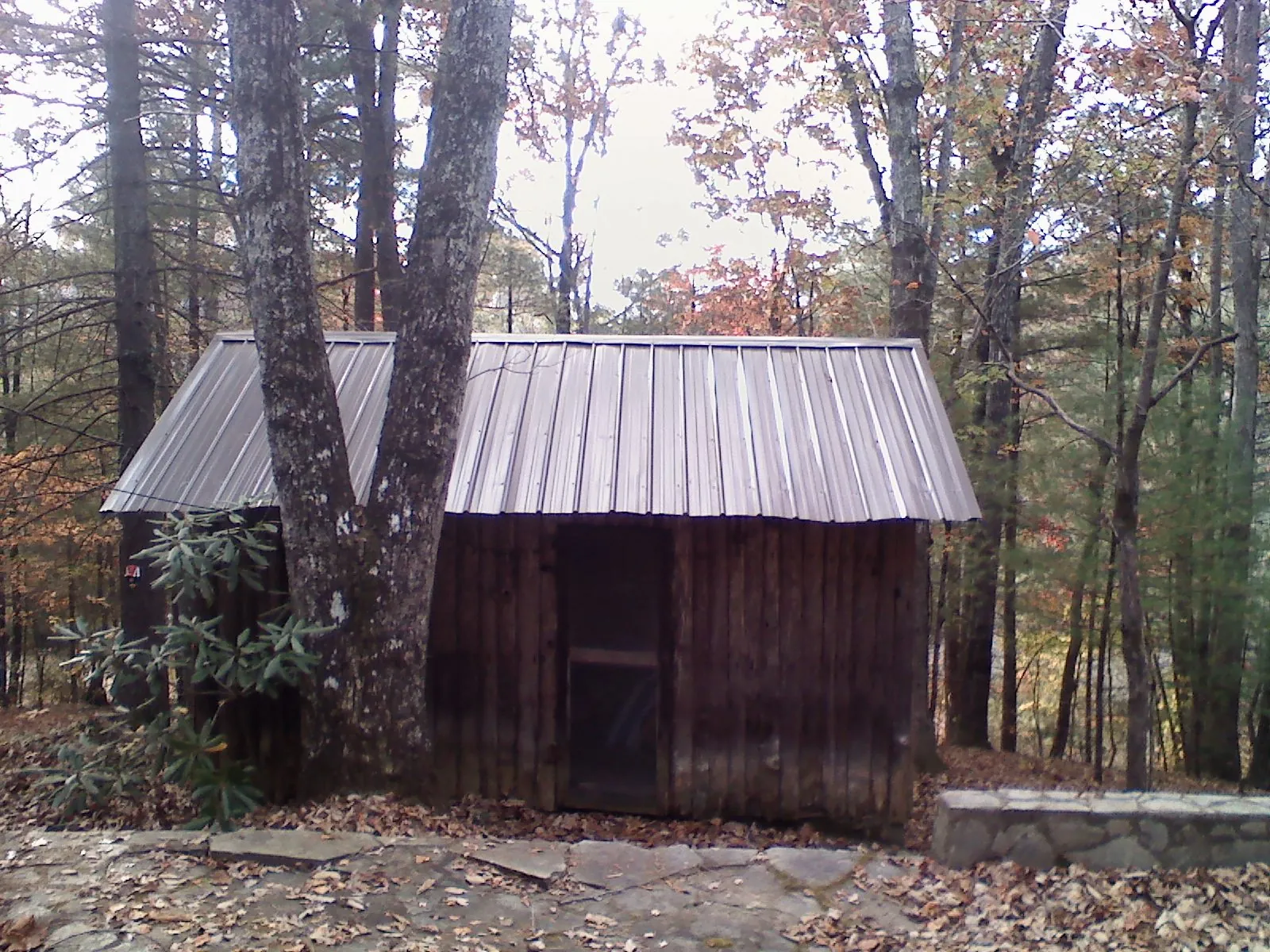 New metal gable roof on a small log shed among the trees in Elora