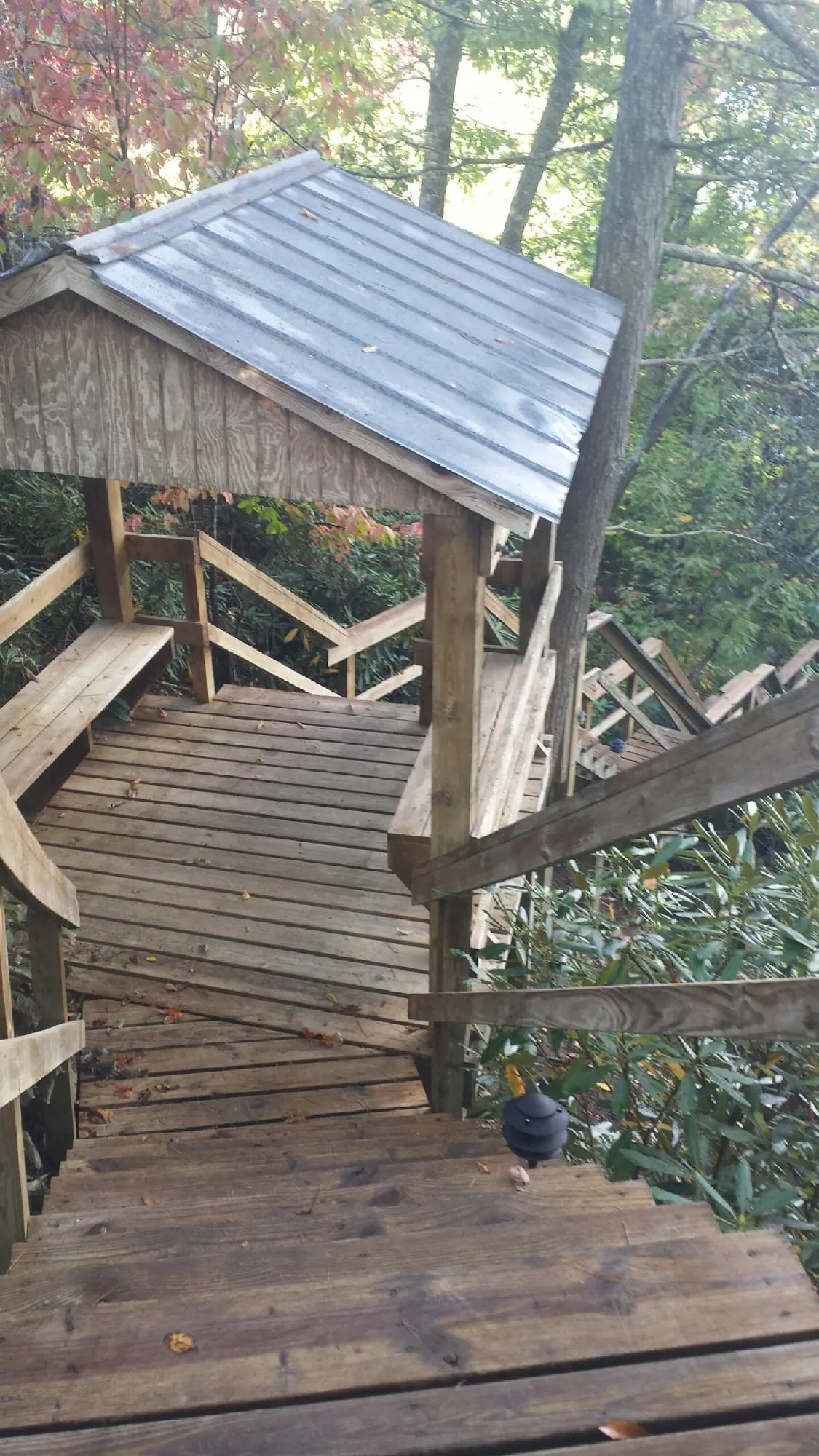 Metal roofed shelter over wooden steps on a wooded walkway — Skylight Repair & Installation work by our crew in Elora