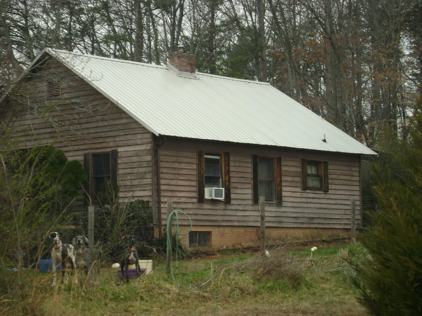 White metal roof on an old wood sided farmhouse, from a Metal Roof Installation job in Elora